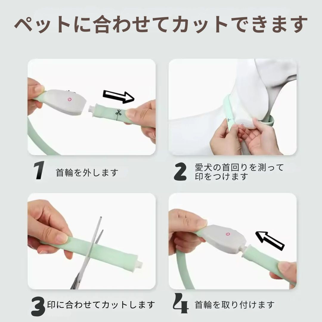 Populoop™PetGlow-ペットグロー