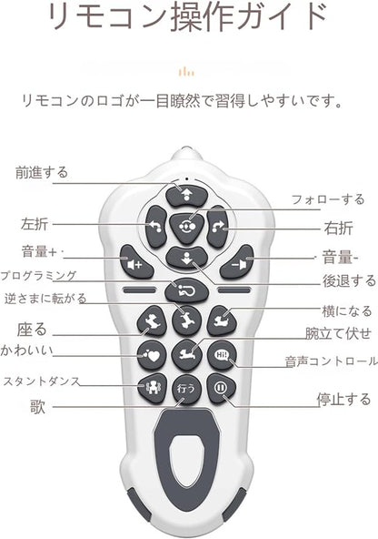 Populoop™RoboBuddy